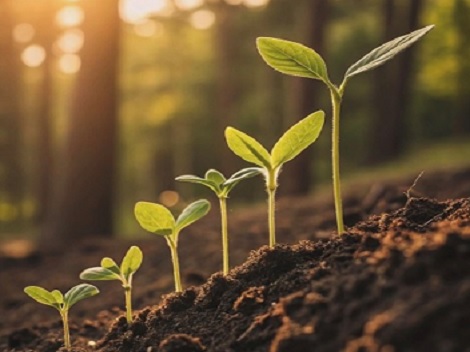 Einfach mal machen – Warum erste Male wichtiger sind, als wir denken