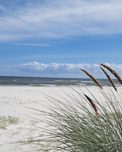 Dühne am Sandstrand auf Bornholm 