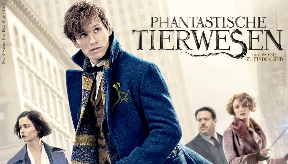 Newt Scamander aus Phantastische Tierwesen Newt Scamander aus Phantastische Tierwesen