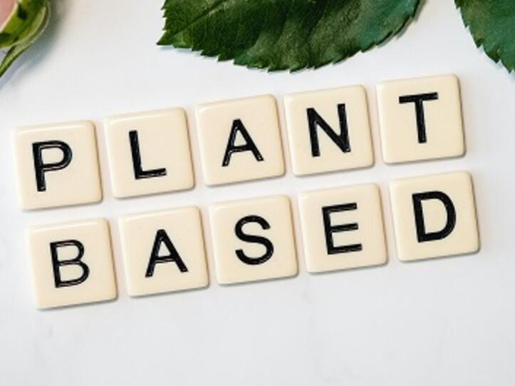 Plant Based, Vegane Mittagspause